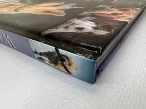 Ink Asia Paper-Laminated-Case-300x225-1 Explore Formats and Embellishments in Book Production  
